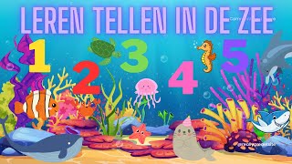 Leren Tellen in de Zee 🌊 Tellen van 1 tot 10 🐠 Nederlandse Kinderfilmpjes voor Peuters en Kleuters 🐬 [upl. by Ycnay325]