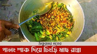 Palong Shak Recipe Bengali  পালং শাক দিয়ে চিংড়ি মাছ রান্না  Prawn Curry Recipe [upl. by Enelyad]