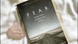 Fear by Thich Nhat Hanh learning to stop [upl. by Elysia]