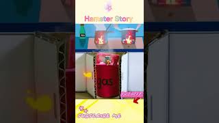 Hamster Escape the Pop It Maze for Pets in Real Life 🐹 Hamster Maze [upl. by Enivid]