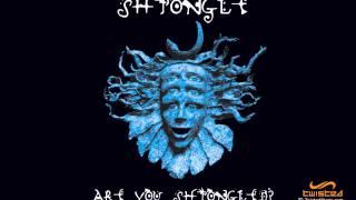 Shpongle  Divine Moments Of Truth [upl. by Slaohcin]