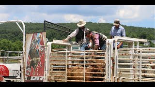 Raising bucking bulls for the rodeo [upl. by Sllew]