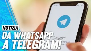 Telegram ora potete importare le chat di WhatsApp [upl. by Cletis]