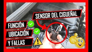 ✅ Para Que Sirve El SENSOR De CIGUEÑAL Y Cuáles Son Sus FALLAS👉 Sensor De Posición Del Cigueñal 🔥 [upl. by Perretta]