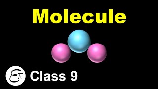 What is a Molecule  Atoms and Molecules  8  in Hindi for Class 9 Science NCERT [upl. by Hanad776]