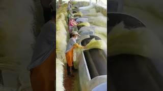 Sisal Soles Processing Full Video handmade natural shoes [upl. by Fabe]