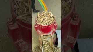 Wood chip pellet machine biomass pellet machine pellets can be burned to generate electricity [upl. by Hachmann]