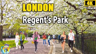 Regents Park London  Walking Tour  Look Around London 4K [upl. by Della]