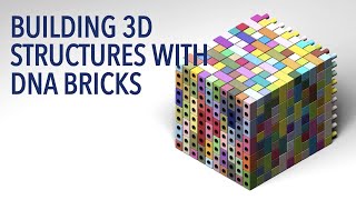 Building 3D Structures with DNA Bricks [upl. by Inajna]