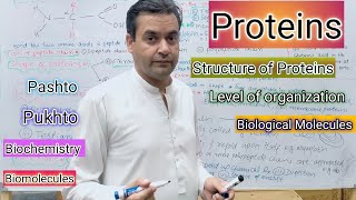 Proteins  Amino acid  Biology  Class 11  Dr Mushtaq Pashto Lectures [upl. by Schlicher983]