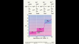 Amino acid Titration Curve Ionizable group Part 2 [upl. by Ettevets]