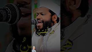 Qari Saeed ul Islam Asad Quran recitation shorts islam holyquran [upl. by Nycila65]