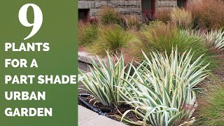 Top Nine Plants for a Part Shade Urban Garden [upl. by Iliram]