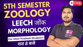 Lt19 Leech Morphology  5th Semester Zoology Paper  01  Sumit Rana Sir [upl. by Charil]