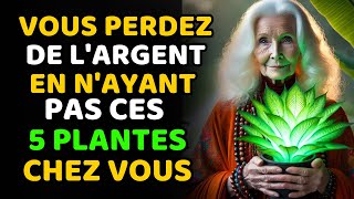 SOYEZ RICHE  5 PLANTES MAGIQUES qui ATTIRERONT INSTANTANÉMENT la RICHEsse dans votre vie  ZEN [upl. by Duggan]