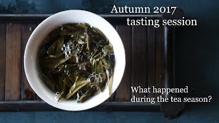 Autumn 2017 tea tasting and more [upl. by Aerdnod]