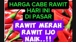 HARGA CABE RAWIT MERAH HARI INI DI PASAR 20 OKTOBER 2024 [upl. by Ahsilla55]