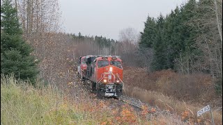 CN 468 avec CN 2954 a ChambordQc 27 octobre 2024 [upl. by Akirdna]