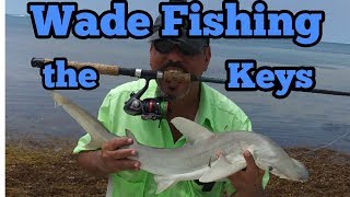 Wade Fishing Key West for Snapper amp Sharks [upl. by Oinegue]