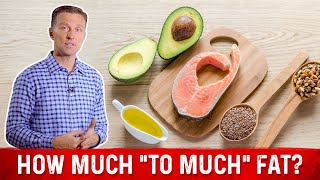 What is quotToo Muchquot Fat on Keto ketogenic diet – Dr Berg [upl. by Lehcem]