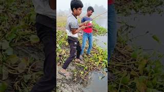 Dil Tham Lo⚡BIG FISH Fallow FOR MORE 💥 fishlover gonefishing fish🙏🙏🙏 [upl. by Ysteb787]