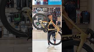 Cervelo Soloist Gold Dust x Shimano DuraAce C50 Wheelset [upl. by Eyde]