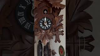 New cuckoo clock chimes [upl. by Ybbed]