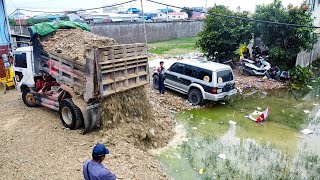 Continue work​ with Full skill Dozer D31A amp 5T truck pushing into water on flooded land [upl. by Chad35]