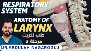 Larynx Anatomy  Respiratory system  شرح الحنجرة  طب تكريت مرحلة 3 [upl. by Khalsa409]