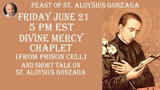 Friday June 21 2024 5 PM ESTDivine Mercy Chaplet from Cell amp Short Talk on Saint of the Day [upl. by Dnalwor]