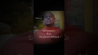 බණ ඇසෙනවා කියන එක දුර්ලබයි Walimada Saddaseela Thero Bana🙏🙏 new trending buddhistfestival [upl. by Yarised]