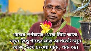 গাছের স্বর্গরাজ্য থেকে নিয়ে আসা নতুন কিছু গাছের স্টক আপডেট চলুন আজ দেখে নেওয়া যাক  পর্ব ৩৪। [upl. by Nostrebor]