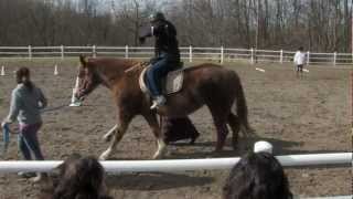 Lothlorien Therapeutic Riding Center HD [upl. by Dolan]