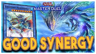 I Put 2 Underrated Archetypes Together  Ghoti Gishki Decklist  YuGiOh Master Duel [upl. by Yenetruoc]