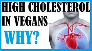 Vegans Starting To Get High Cholesterol Why [upl. by Phyllida]