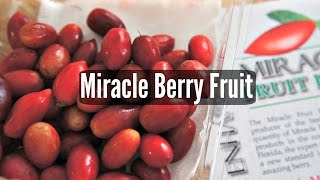 Tasting Miracle Berry Fruit – Fruity Fruits [upl. by Metzger]