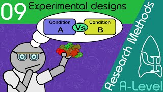 Experimental Design  Research Methods ALevel Psychology [upl. by Koralle25]