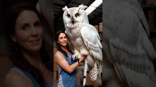 Meet the Giants The World’s Largest Owls shorts shortvideo viralvideo [upl. by Naivat]