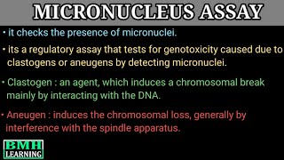 Micronucleus Assay  In Vitro Micronucleus Assay  In Vivo Micronucleus Assay [upl. by Ducan]