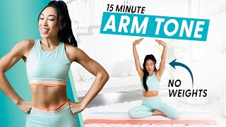 15 Minute Arm Burnout weightless upper body workout [upl. by Reed]