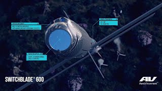 Discover NextGen Warfare Switchblade 600 Loitering Munition System [upl. by Ludewig]