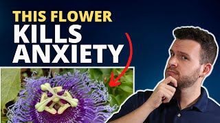 Purple Passionflower for Anxiety and Panic Attacks  A Natural Remedy that Works [upl. by Settle]