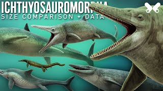 ICHTHYOSAURS and relatives  Size comparison and data [upl. by Mckay]