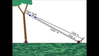 Basic tree climbing techniques How to do the body thrust ascent [upl. by Hawthorn250]