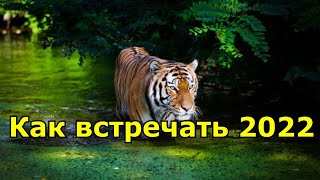 Год какого животного 2022 по восточному календарю [upl. by Whiting]