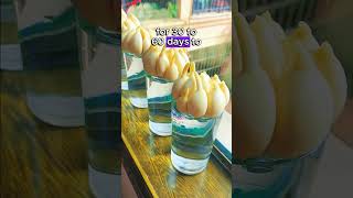 Grow SingleBulb Garlic at Home with This Easy Technique curiosity plant farming garlic [upl. by Shem]