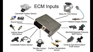 Exploring Car Engine Sensors A Deep Dive [upl. by Ytima]