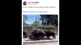 izmir chp cemiltugay saatkulesi kordon alsancak gundogdu [upl. by Aisel649]