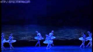 Swan Lake Julio Bocca Alina Cojocaru Bocca Last Perfomance [upl. by Ativad]