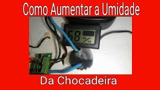 como aumentar a umidade da chocadeira de uma forma simples [upl. by Ynafit750]